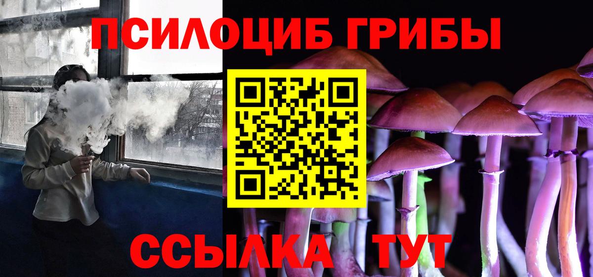 Псилоцибиновые грибы Psilocybine cubensis Елец